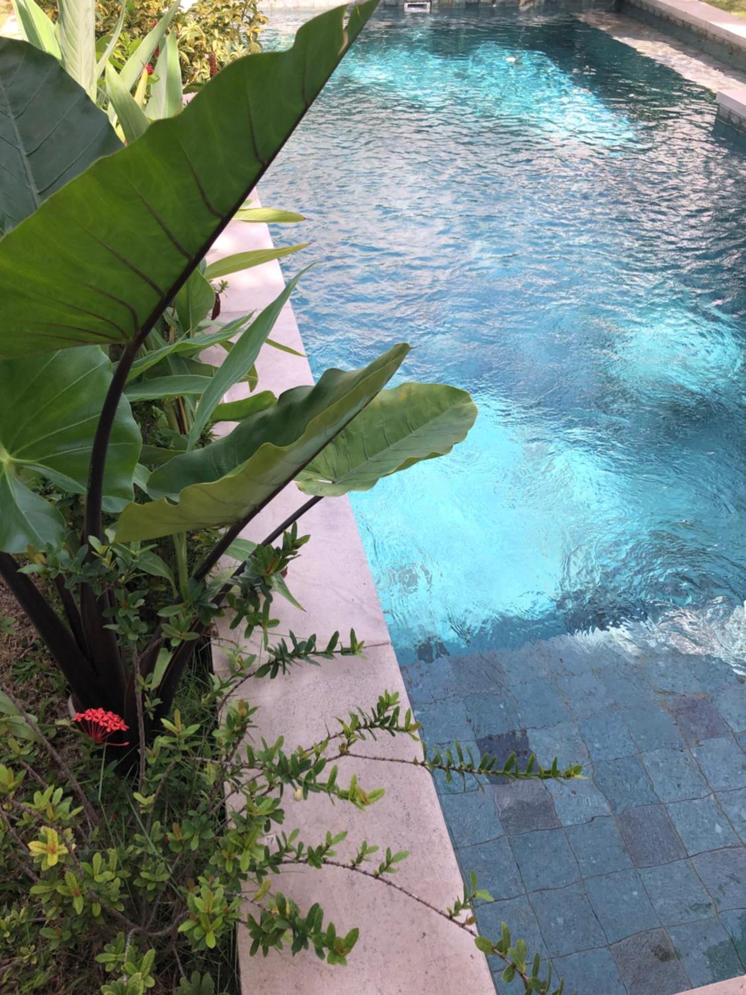 Villa Abhista Seminyak Exterior foto